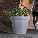 Virágcserép Standard szürke 21cm