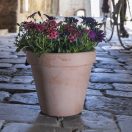 Virágcserép Standard antik 25cm