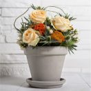 Virágcserép Standard szürke 25cm