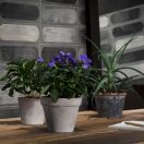 Virágcserép Standard szürke 25cm