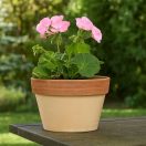 Virágcserép Mezzo antik húzott 21cm