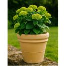 Doppio Bordo Arena cserép 40cm