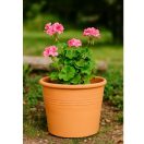 Virágcserép Cilinder agyag 23cm