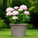 Virágcserép Cilinder szürke 18cm