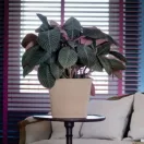 Virágcserép Cilinder antik 28cm