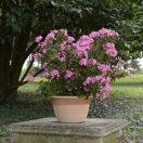 Campana Barázdált antik 37cm