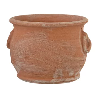 Virágcserép Anelli Orchidea 16cm