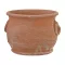 Virágcserép Anelli Orchidea 16cm