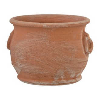 Virágcserép Anelli Orchidea 18cm