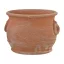 Virágcserép Anelli Orchidea 18cm