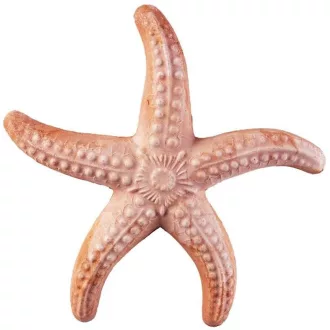 Tengeri csillag 20cm