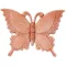 Lepke Colias 21cm