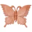 Lepke Colias 21cm