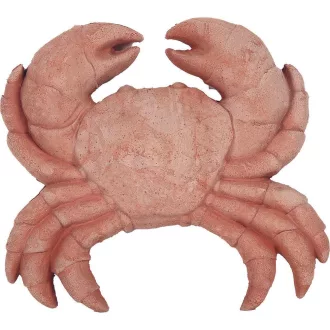 Rák 17cm