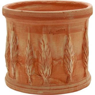 Virágcserép Ciprus 18cm