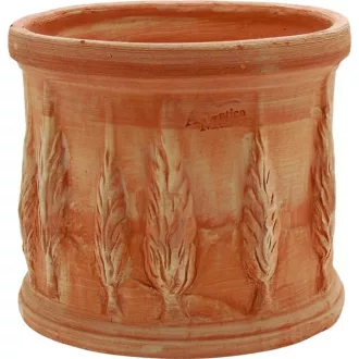 Virágcserép Ciprus 18cm