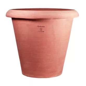 Virágcserép Camelia 75cm