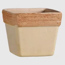 Standard virágláda