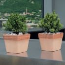 Kocka edény antik 26cm