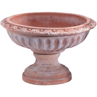 Coppa Bacellata 45cm