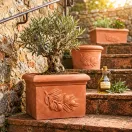 Virágláda Siena olivás 40cm