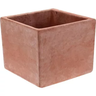 Virágláda Quadro Grasse Moderne 11cm