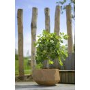 Virágcserép Crosby rozsdabarna 3 részes