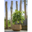 Kaspó Crosby rozsdabarna 3 részes