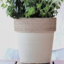 Virágcserép Alto szürke húzott 31cm