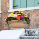 Virágtál Oxford antik húzott 35cm