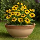 Virágtál Oxford antik húzott 40cm