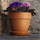 Virágcserép Patavium agyag 14cm