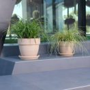 Virágcserép Patavium antik 20cm