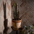 Virágcserép Patavium antik húzott 35cm