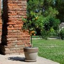 Virágcserép Patavium szürke húzott 35cm