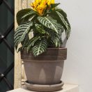 Virágcserép Patavium szürke húzott 45cm