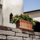 Virágláda Graffiata antik húzott 40cm