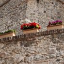 Virágláda Graffiata antik húzott 50cm