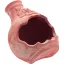 Fiasca con Uva 24cm