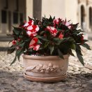 Virágtál Primavera 30cm