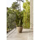 Zamioculcas 90cm