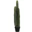 Kaktusz San Pedro 100cm
