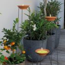 Gyertya Citronella Firenze 18cm