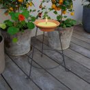 Gyertya Citronella Firenze 18cm