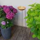 Gyertya Citronella Firenze 18cm