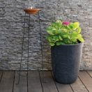 Gyertya Citronella Firenze 18cm