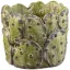 Cilinder Cactus 17cm