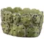 Virágláda ovális Cactus 26cm