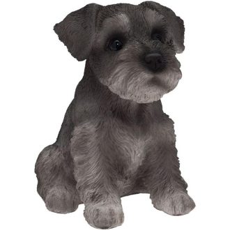 Schnauzer 12cm