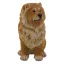Kutya Lion 16cm